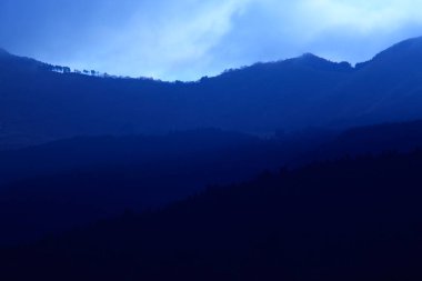 Ağaçlı bir dağ sırası 