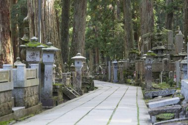  Japonya, Koyasan 'daki Okunoin antik Budist mezarlığı.