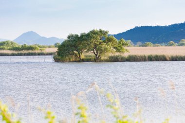 Dağlardaki göl manzarası
