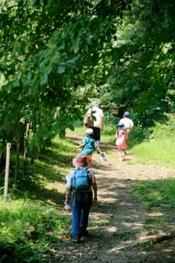 back view of people walking in the forest
