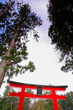 Torii, geleneksel bir Japon kapısı.
