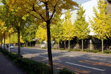 Şehrin güzel manzarası