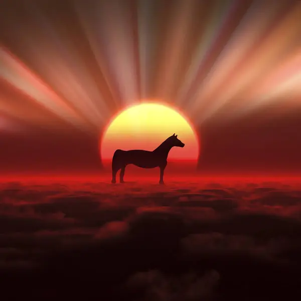 Schwarze Silhouette Des Pferdes Auf Dem Hintergrund Des Sonnenuntergangs — Stockfoto