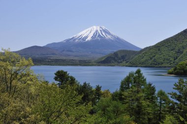 Yeşil ağaçlarla çevrili karlı dağın manzarası