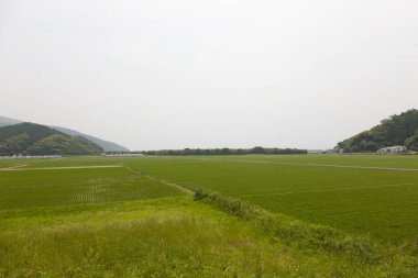 shirakoshishiin japan manzarası.