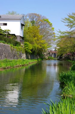 Nehrin üzerinde yeşil bahçede köprü 