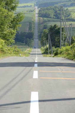 Kırsalda asfalt yol