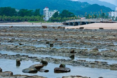 Japonya Miyazaki 'de deniz suyuyla dolu eşsiz, doğal sıra volkanik kayaların fotoğrafı.