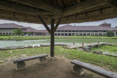 Korunaklı ahşap banklar, nilüferlerle dolu geniş bir göle ve büyük, uzak bir binaya bakıyor..