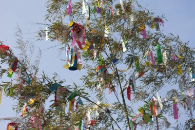 Renkli kurdelelerle süslenmiş ağaç dalları, tatil dekorasyonunun gündüz manzarası. 