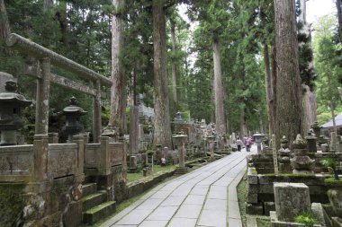  Japonya, Koyasan 'daki Okunoin antik Budist mezarlığı.