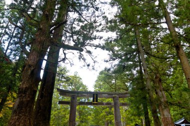 Eski bir Japon tapınağının büyüleyici görüntüsü