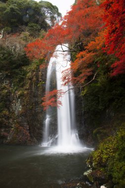 Osaka, Japonya 'daki Minoh Park' taki güzel şelalenin manzaralı görüntüleri.