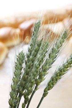 Arka planda buğday ve taze ekmek başakları