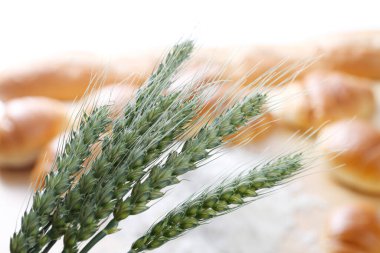 Arka planda buğday ve taze ekmek başakları