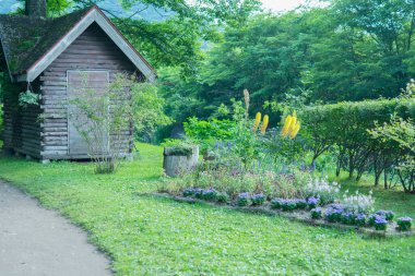 Yazın güzel bir bahçe, ahşap evle 