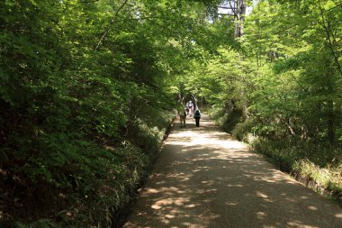 Parkta yürüyen insanlar.