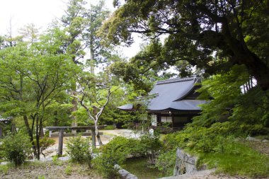 Bahçedeki yeşil ağaçlı geleneksel Japon tarzı ev.
