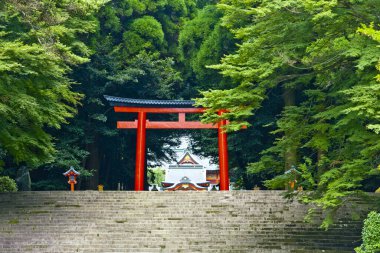 Güzel Japon tapınağı, Budizm konsepti