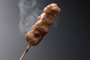 Tavuk eti şişi, yakın görüş.