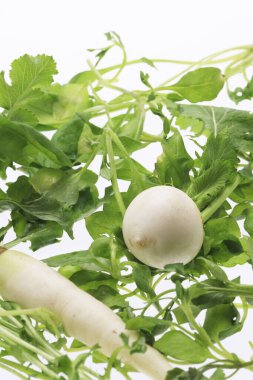 izole beyaz zemin üzerine beyaz turp