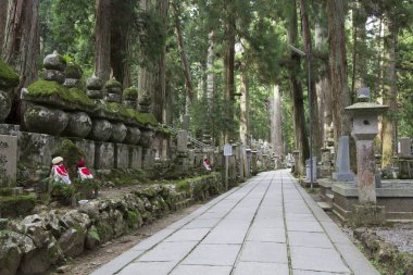  Japonya, Koyasan 'daki Okunoin antik Budist mezarlığı.