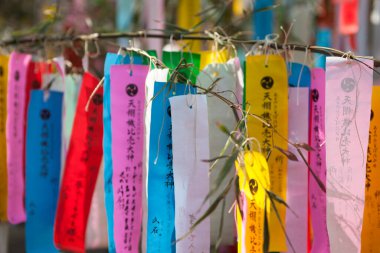 Renkli kurdelelerle süslenmiş ağaç dalları, tatil dekorasyonunun gündüz manzarası. 