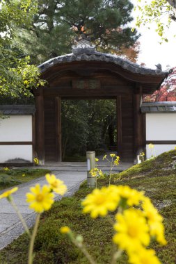 Resimli bir Japon türbesinin sanatsal çekimi.
