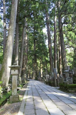  Japonya, Koyasan 'daki Okunoin antik Budist mezarlığı.