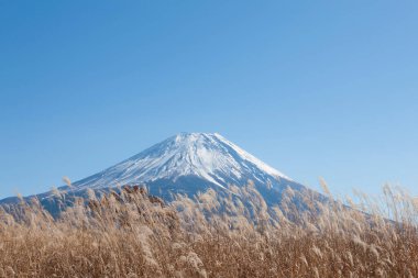 Japonya 'daki ünlü Fuji dağının manzarası