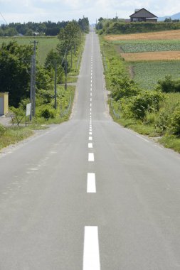 Kırsalda asfalt yol