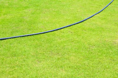 Hortumlu çimen arkaplanı 