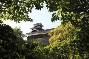 Kumamoto-jo Kalesi, Kumamoto, Japonya