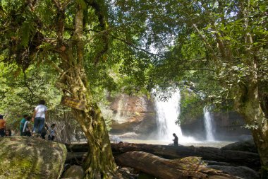 Yaz mevsimi boyunca ormanda şelale. 