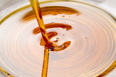 Ballı cam, yakın plan görüntü.