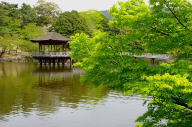 Yazın göletli Japon bahçesi 