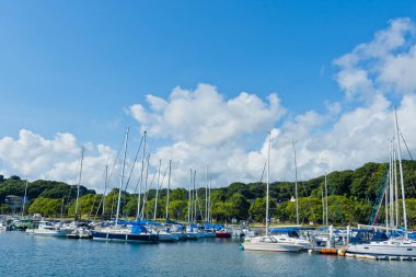 Marinada demirlemiş tekneler