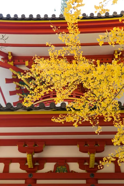 Őszi Levelek Japán Parkban — Stock Fotó
