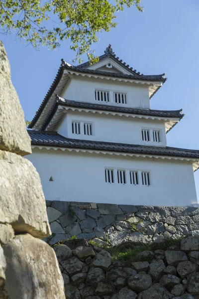 Historic Shrine Located Top Mountain Hikone Area Japan Shiga Ken — Stock Photo, Image