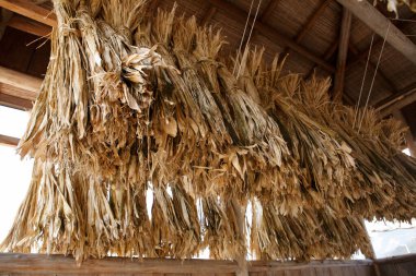 Asya köyündeki evde asılı kuru bambu yapraklarını kapatın. 
