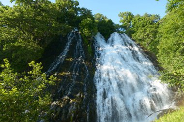 Ormanda şelalesi olan güzel bir manzara. 