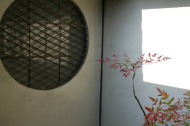 Güneş ışığı, bitkilerle dolu duvarlara gölge düşürüyor