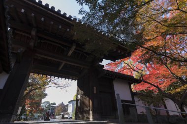 Eski bir Japon tapınağının büyüleyici görüntüsü