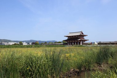 Eski bir Japon türbesinin Idyllic görüntüsü