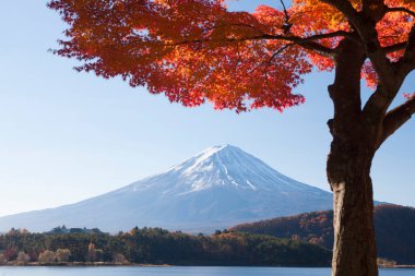 Japonya 'daki Fuji Dağı' nın doğa manzarası