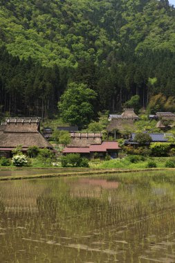 Dağlardaki nehrin yanındaki köy.