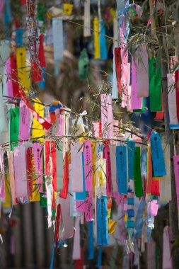 Renkli kurdelelerle süslenmiş ağaç dalları, tatil dekorasyonunun gündüz manzarası. 
