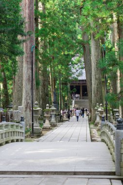 Japonya, Koyasan 'daki Okunoin antik Budist mezarlığı.