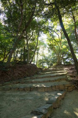 Kyoto 'daki Japon bahçesi.