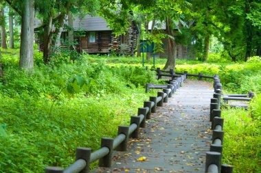 Ahşap patika, yemyeşil ormandan kulübeye doğru dönüyor.